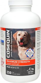 Cosequin Maximum Strength Plus MSM Chewable 250 Count