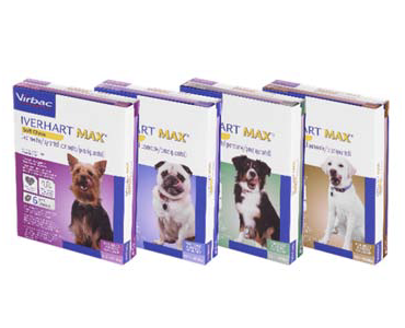 The lineup of the Iverhart Max Soft Chew products.