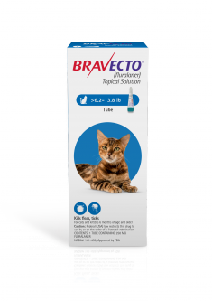 Bravecto Topical Solution for Cats 6.2 - 13.8 lbs (1 Dose)