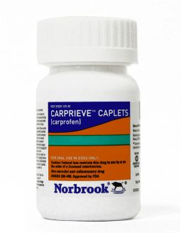 Carprieve 25mg PER TABLET