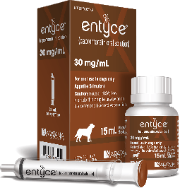 Entyce Suspension 30mg/ml 10ml with 1ml Syringe