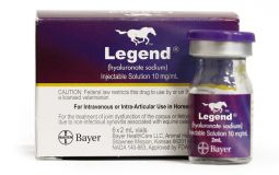 Legend Equine 2 mL 10 mg/mL