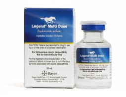 Legend Equine 20 mL 10mg/mL