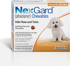 NexGard 4-10 lbs 1 Month