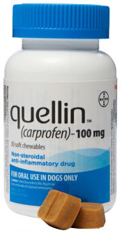 Quellin 100mg 30 Soft Chews