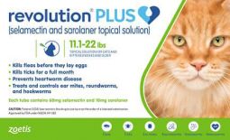 Revolution Plus for Cats 11.1 - 22lbs 1 Month