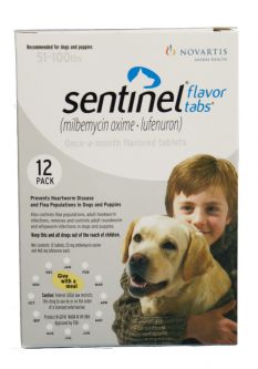 Sentinel White 12 MONTH for  Dogs and Puppies 51-100 lbs