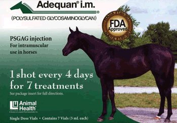 Adequan Equine 500mg / 5 mL (7 Vials)